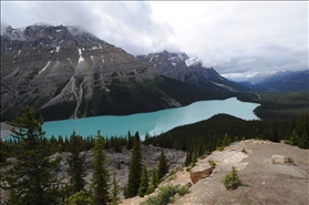 Peyto Lake